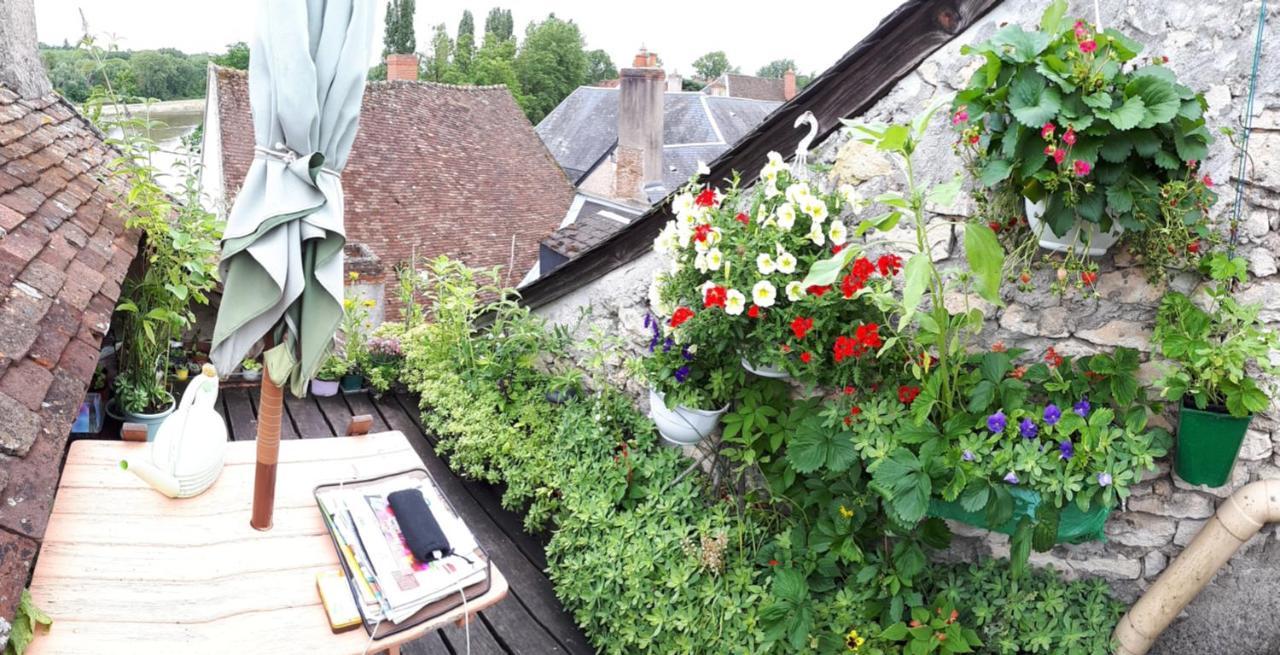 Maison De La Loire La Charité-sur-Loire Dış mekan fotoğraf