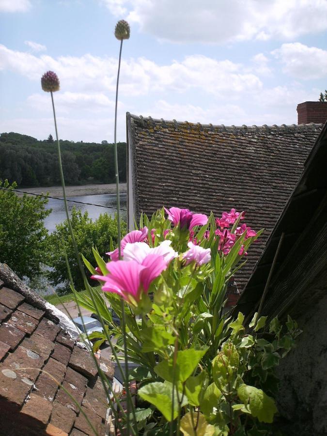 Maison De La Loire La Charité-sur-Loire Dış mekan fotoğraf